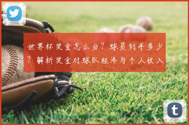 世界杯奖金怎么分？球员到手多少？解析奖金对球队经济与个人收入的真实影响